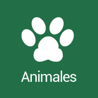 icono_animales